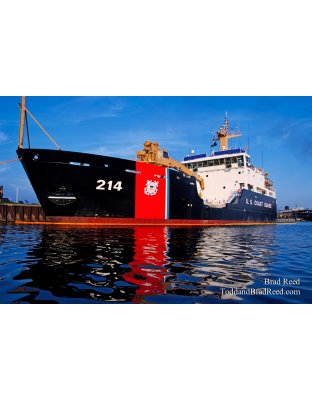 Brad Reed's Day 207 of 365 