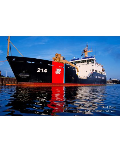 Brad Reed's Day 207 of 365 