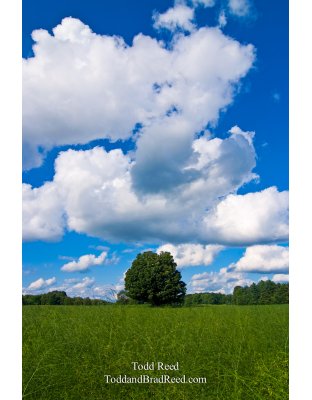 Todd Reed's Day 209 of 365 