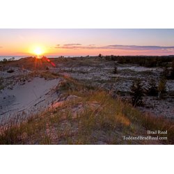 Brad Reed\'s Day 209 of 365 