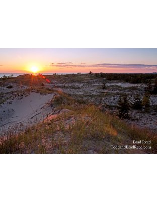 Brad Reed's Day 209 of 365 