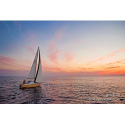Brad Reed\'s Day 210 of 365 