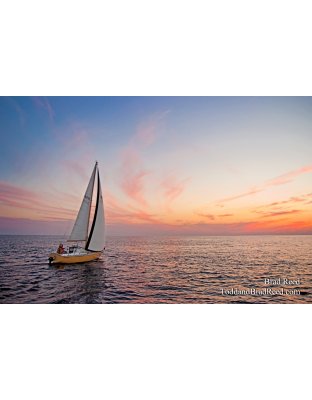 Brad Reed's Day 210 of 365 