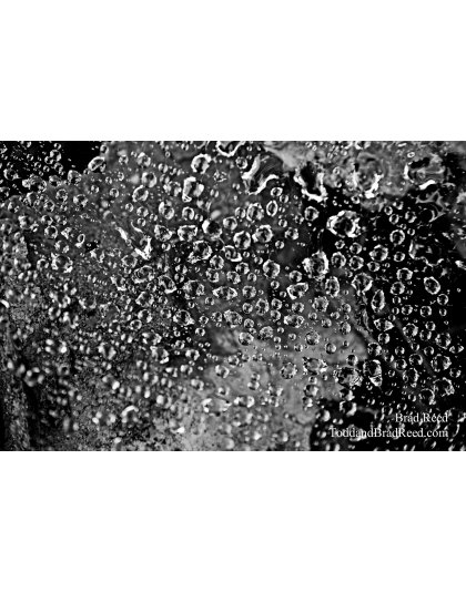 Brad Reed's Day 212 of 365 