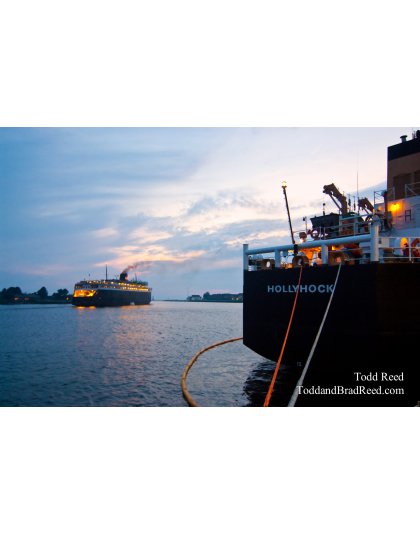 Todd Reed's Day 214 of 365 