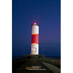 Todd Reed\'s Day 216 of 365 