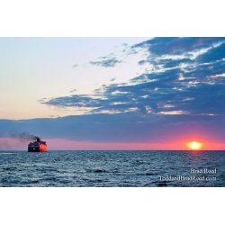 Brad Reed\'s Day 217 of 365 