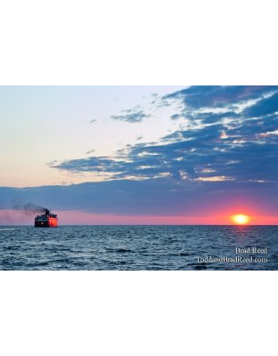 Brad Reed's Day 217 of 365 