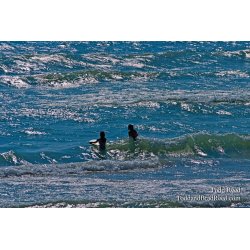 Todd Reed\'s Day 220 of 365 