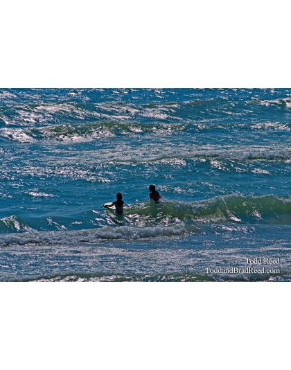 Todd Reed's Day 220 of 365 