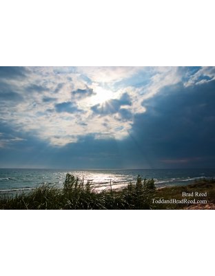 Brad Reed's Day 220 of 365 