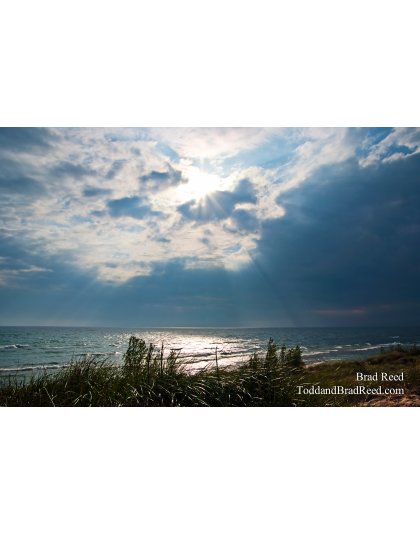 Brad Reed's Day 220 of 365 