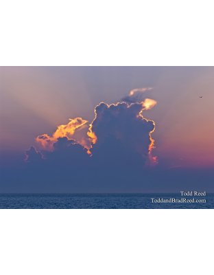 Todd Reed's Day 221 of 365 