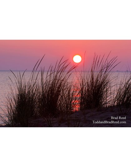 Brad Reed's Day 223 of 365 