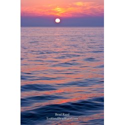 Brad Reed\'s Day 224 of 365 