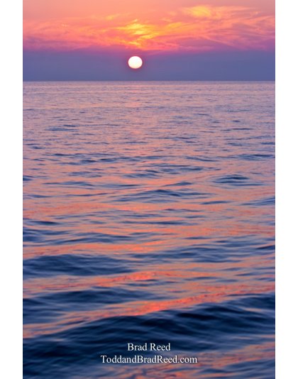 Brad Reed's Day 224 of 365 