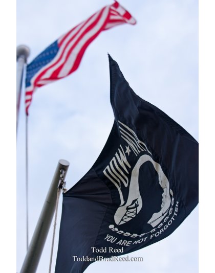 Todd Reed's Day 225 of 365 