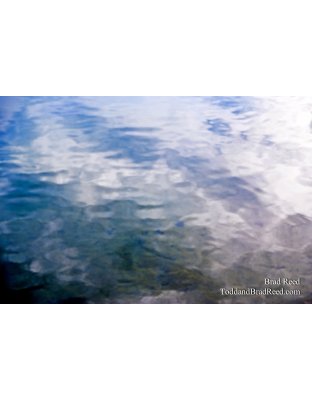 Brad Reed's Day 225 of 365 