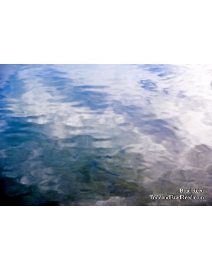 Brad Reed's Day 225 of 365 