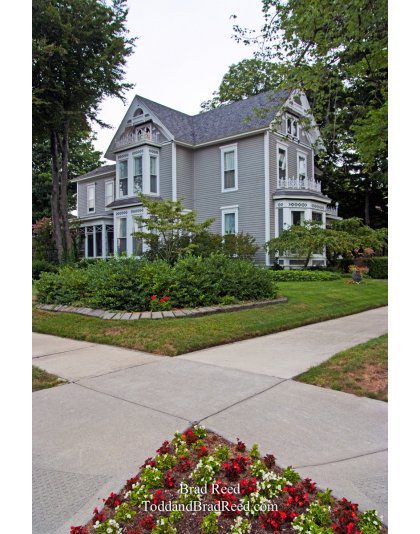 Brad Reed's Day 226 of 365 