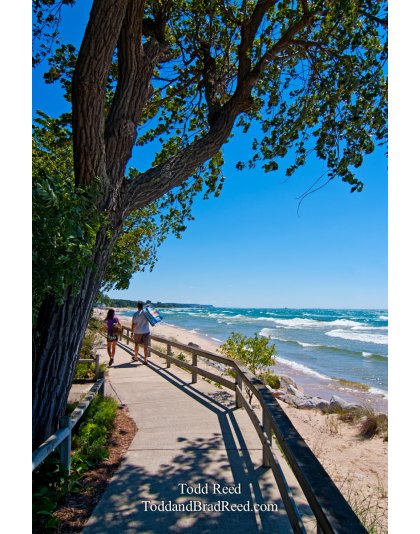 Todd Reed's Day 228 of 365 