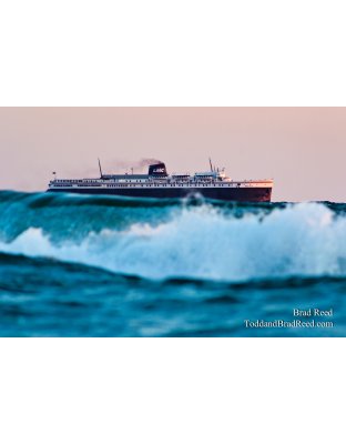 Brad Reed's Day 228 of 365 