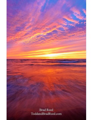 Brad Reed's Day 229 of 365 