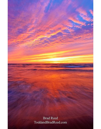 Brad Reed's Day 229 of 365 