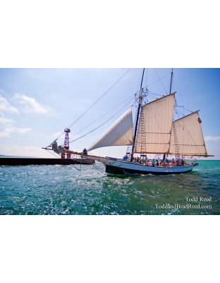 Todd Reed's Day 230 of 365 