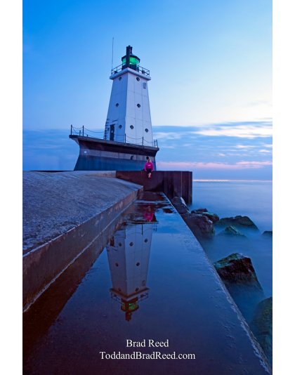 Brad Reed's Day 231 of 365 