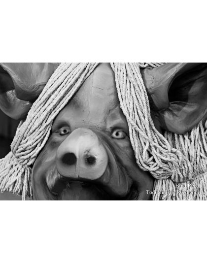 Brad Reed's Day 232 of 365 