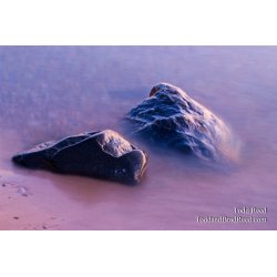 Todd Reed\'s Day 235 of 365 