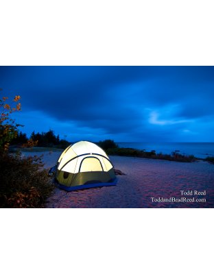 Todd Reed's Day 236 of 365 