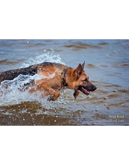 Brad Reed's Day 236 of 365 