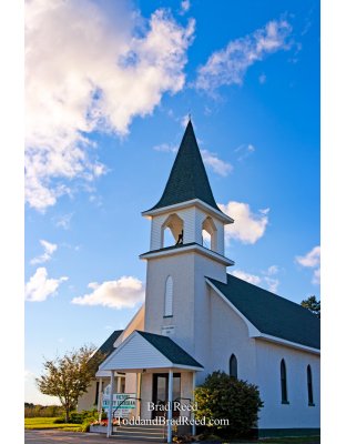 Brad Reed's Day 237 of 365 