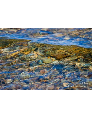 Todd Reed's Day 238 of 365 