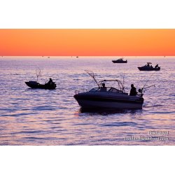 Brad Reed\'s Day 238 of 365 