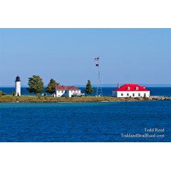 Todd Reed\'s Day 240 of 365 