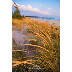 Todd Reed\'s Day 243 of 365 