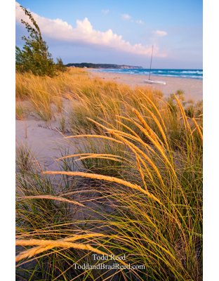 Todd Reed's Day 243 of 365 