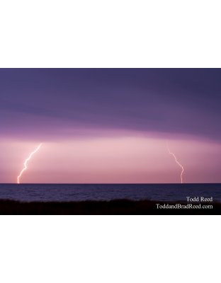 Todd Reed's Day 245 of 365 