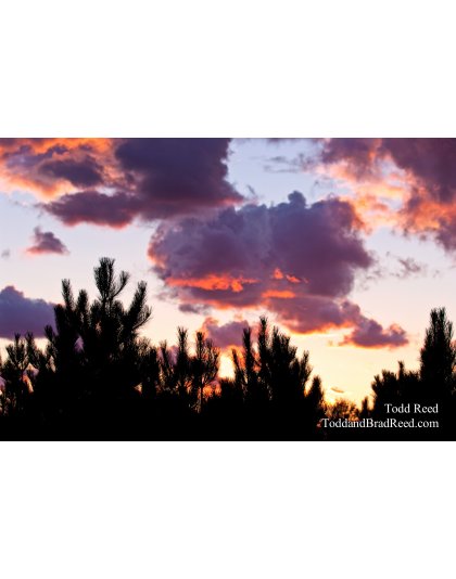 Todd Reed's Day 247 of 365 