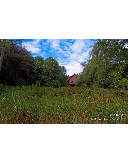 Brad Reed's Day 247 of 365 