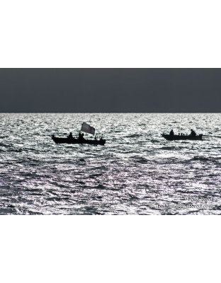 Todd Reed's Day 248 of 365 