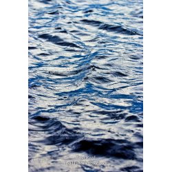 Brad Reed\'s Day 248 of 365 