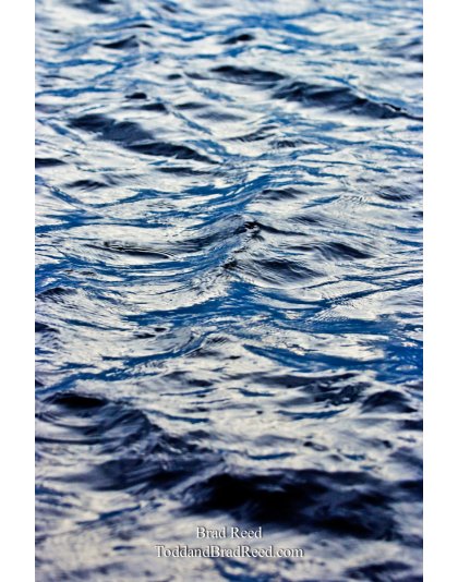 Brad Reed's Day 248 of 365 