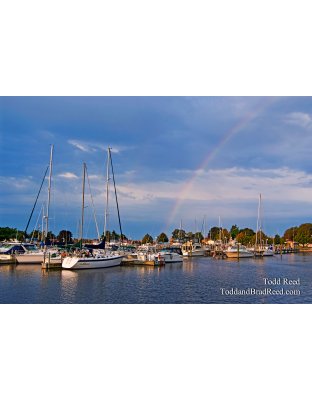 Todd Reed's Day 249 of 365 