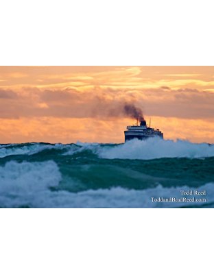 Todd Reed's Day 250 of 365 