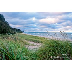 Todd Reed\'s Day 251 of 365 