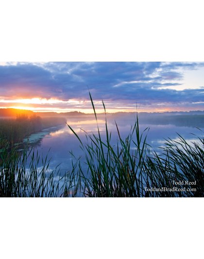 Todd Reed's Day 252 of 365 